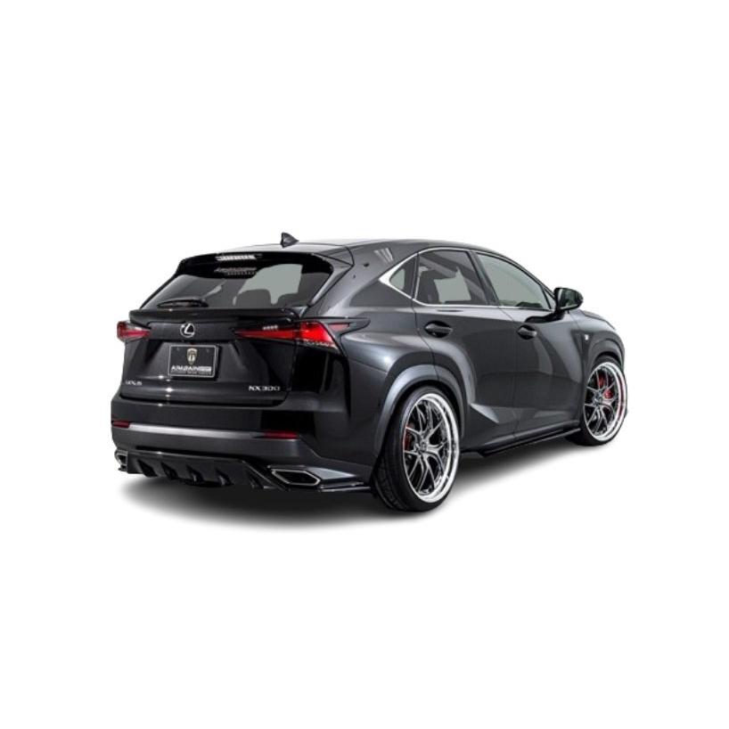 AIMGAIN SPORT LEXUS レクサス NX300 F-SPORT 10系 NX 後期 フルキット