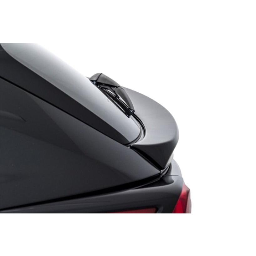 AIMGAIN SPORT LEXUS レクサス NX300 F-SPORT 10系 NX 後期 リアゲート