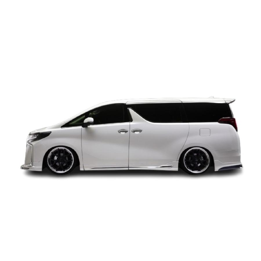 WALD EXECUTIVE LINE トヨタ 30系 アルファード S SC SR 後期 リア