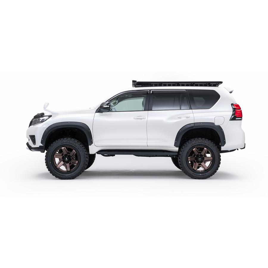 WALD DESERT LINE H29.9- リアガーニッシュ 150系 ランドクルーザー