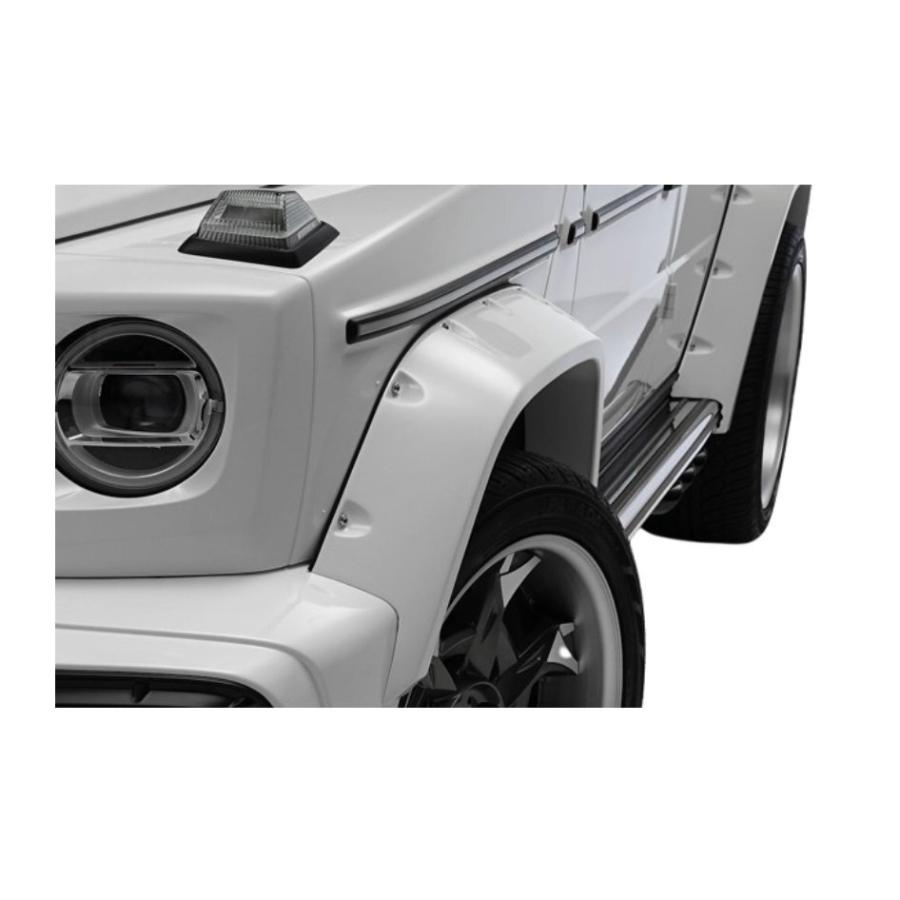 WALD BLACK BISON メルセデスベンツ Gクラス W463A G550 G350d G63 AMG