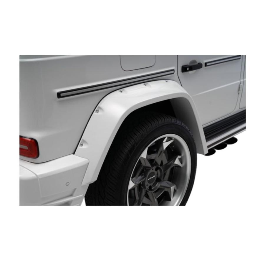WALD BLACK BISON メルセデスベンツ Gクラス W463A G550 G350d G63 AMG