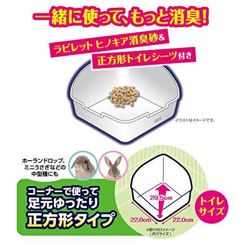 ジェックス GEX ヒノキア ミルキーホワイト M サイズ |  | 02