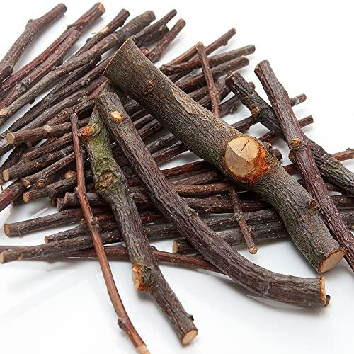 足場木 太さミックス １００ｇ （昆虫用） 転倒防止 |  | 01