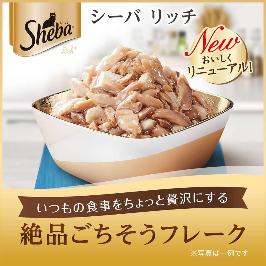 シーバ リッチ キャットフード ささみ 成猫用 35g×12個まとめ買い |  | 01