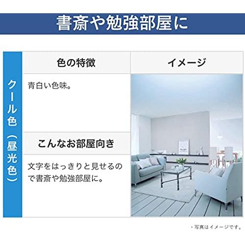 パナソニック 蛍光灯直管 昼光色 20形 2本入 クール色 パルック