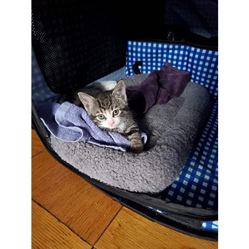 PETLESO ペット用 ベッド マット 犬猫 小動物用 丸洗い 滑り止め付き 2サイズ選べる S |  | 04