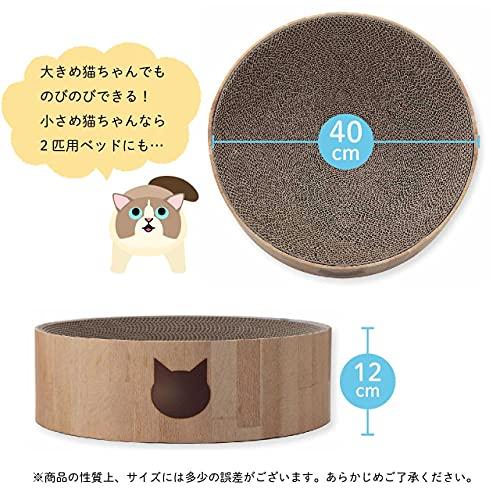 猫壱necoichiバリバリボウル ライトブラウン |  | 01