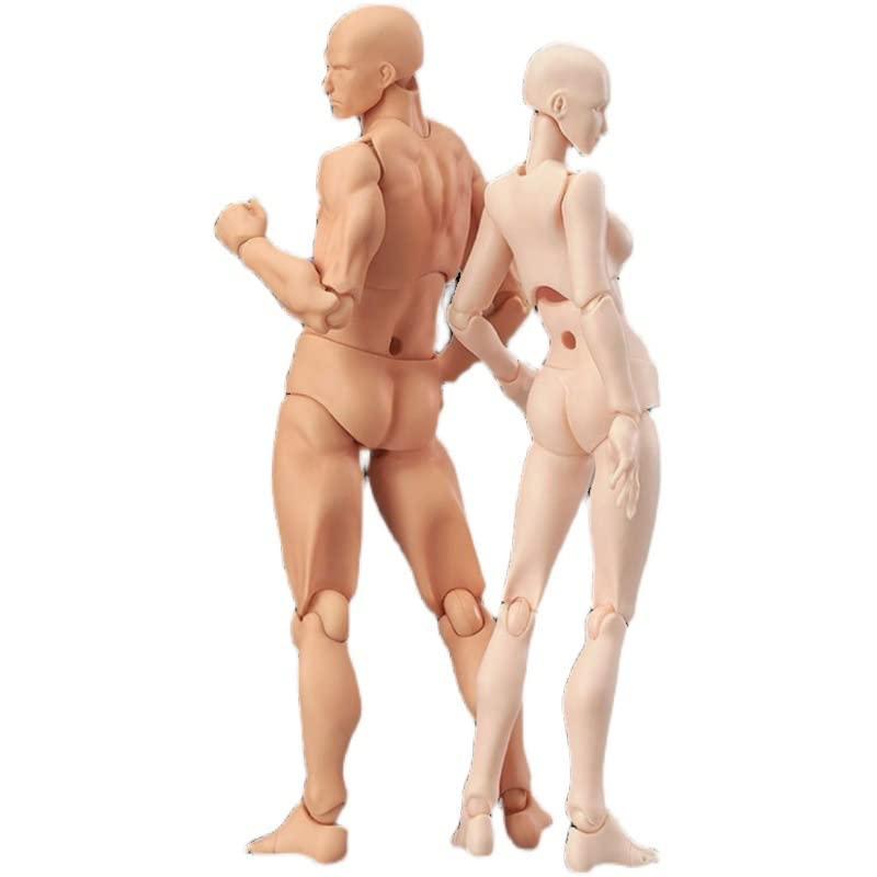 皮膚の色 デッサン用 モデル人形 男女人形 可動式デッサン人形 モデル人形 キャラクター イラスト デッサン 作画 練習 女性 模型 ドールタイ　 | 