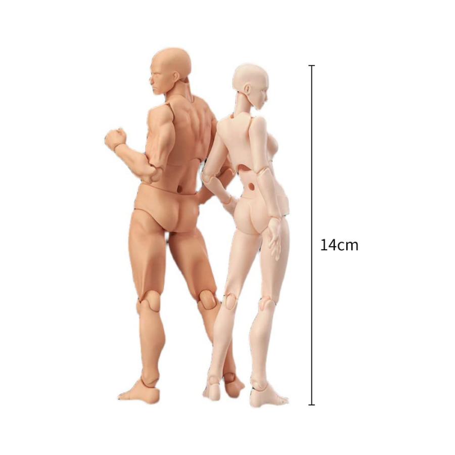 皮膚の色 デッサン用 モデル人形 男女人形 可動式デッサン人形 モデル人形 キャラクター イラスト デッサン 作画 練習 女性 模型 ドールタイ　 |  | 02