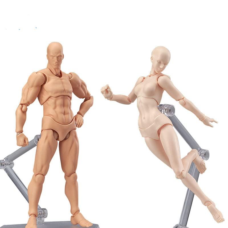 皮膚の色 デッサン用 モデル人形 男女人形 可動式デッサン人形 モデル人形 キャラクター イラスト デッサン 作画 練習 女性 模型 ドールタイ　 |  | 03