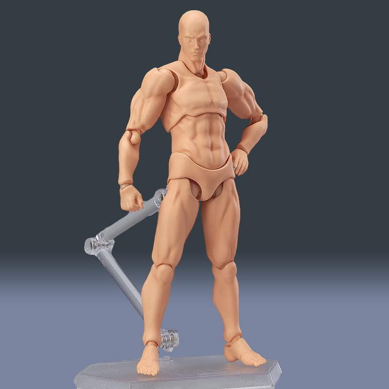 皮膚の色 デッサン用 モデル人形 男女人形 可動式デッサン人形 モデル人形 キャラクター イラスト デッサン 作画 練習 女性 模型 ドールタイ　 |  | 06