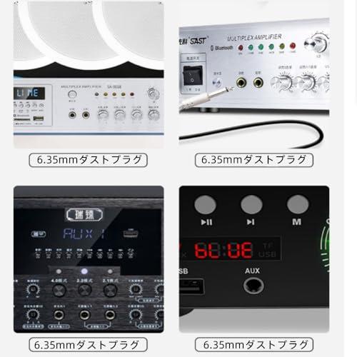 ダストプラグ 防塵保護カバー ソフトなシリコン素材 10個入り オーディオジャック PC/AV機器用 6.35mm オーディオファン ダストキャ |  | 06