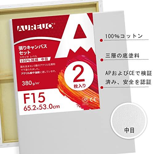 AUREUO 張りキャンバス セット F15 65.2cmX53cm 中目 100％コットン 2枚 初心者 絵画用具 芸術絵創作 現代油絵 美術 |  | 01
