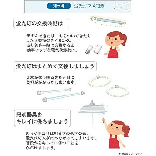 パナソニック ツイン蛍光灯 36形 クール色 2本ブリッジ FPL36EXD |  | 01