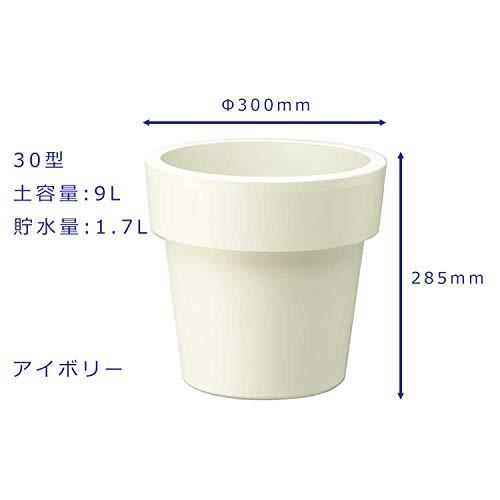 大和プラスチック 底面給水機能付 ウォータープラス 30型 9L アイボリー |  | 01