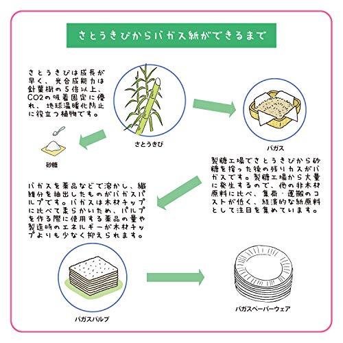 シモジマ ヘイコー ペーパープレート バガス 業務用 どんぶり C150 ND115 50枚 白 |  | 04