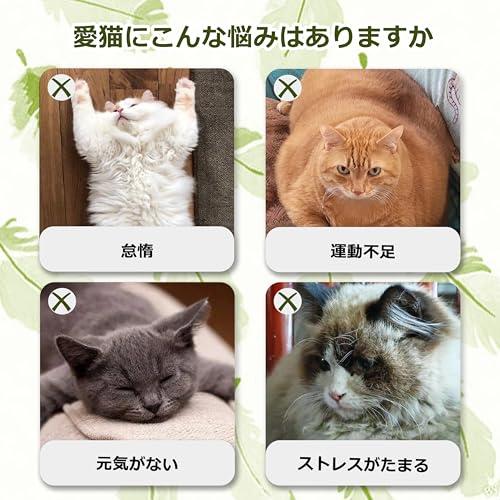 羽根つき猫じゃらしピンク 猫用おもちゃ 超軽量タイプ | 運動不足＆ストレス解消に最適 |  | 02