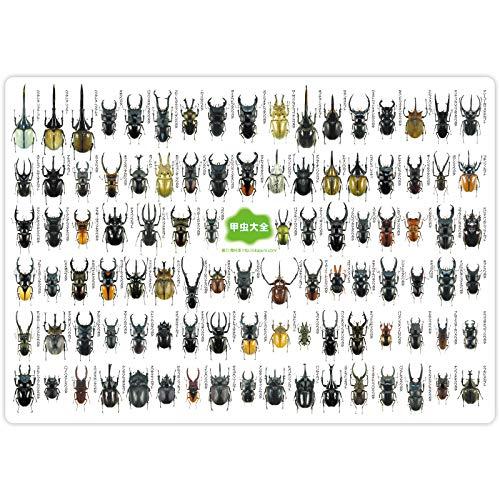 ザ・アクセス 下敷き 甲虫 大全下敷き 水族館 A4 | 