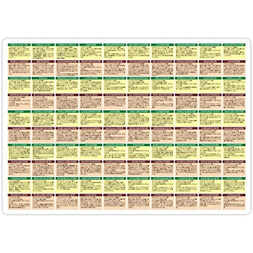 ザ・アクセス 下敷き 甲虫 大全下敷き 水族館 A4 |  | 01