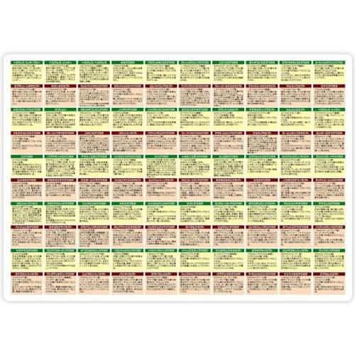 ザ・アクセス 下敷き 甲虫 大全下敷き 水族館 A4 |  | 03