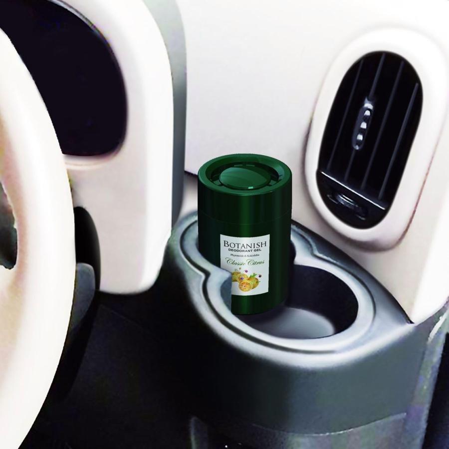 カーオール Carall 消臭・芳香剤 ボタニッシュ置き型 クラシックシトラス 160g 3279 |  | 01