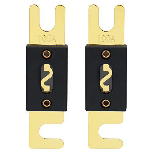 Heschen ハドソン電気 車 ANLヒューズ 100A 自動車 バイク オーディオサブウーファー 用品 2個入り | 