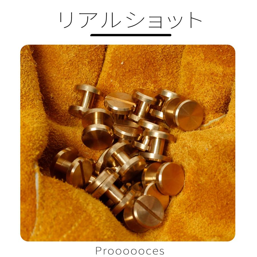 シカゴスクリュー 20個入り 10×4×5mm 真鍮組ネジ コンチョ バッグ ベルト 底びょう リベット スタッズ パーツ 鋲 リベット スタッ |  | 02
