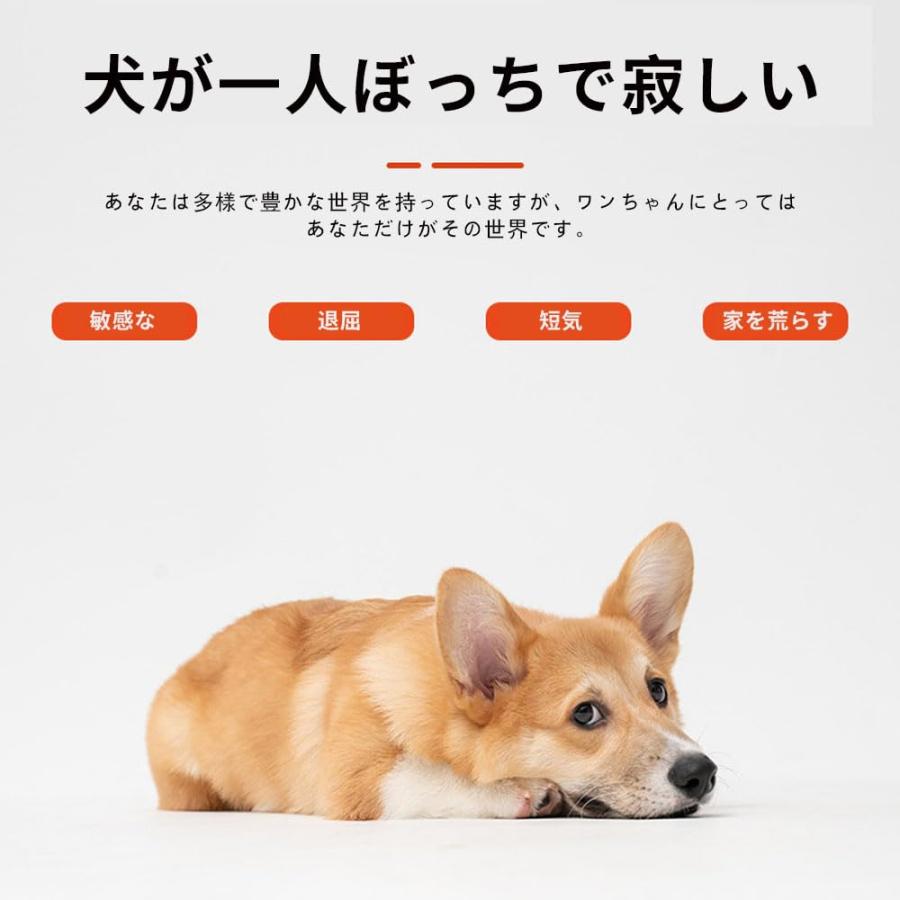 LIKENNY イチゴ おもちゃ 犬 犬用 噛む 噛むおもちゃ餌入れ 人気 壊れない かみかみ 大中型犬向 丈夫 大型犬 最強 運動不足やストレ |  | 01