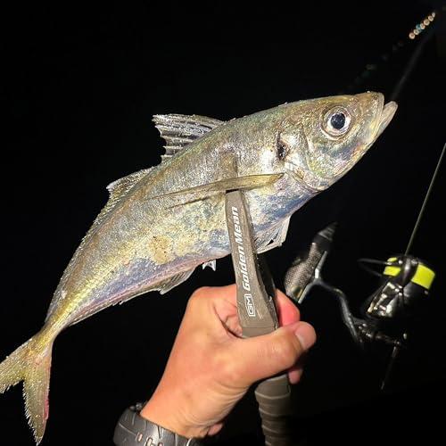 バリバスVARIVAS アジングマスター エステル レモニー 150m 0.3号 |  | 04