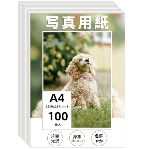 Wtrgas 写真用紙 A4 210x297mm 光沢紙 フォト用紙 0.25mm厚さ 100枚入 | 