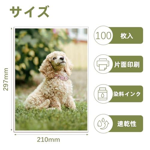 Wtrgas 写真用紙 A4 210x297mm 光沢紙 フォト用紙 0.25mm厚さ 100枚入 |  | 01