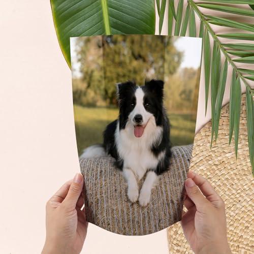 Wtrgas 写真用紙 A4 210x297mm 光沢紙 フォト用紙 0.25mm厚さ 100枚入 |  | 04