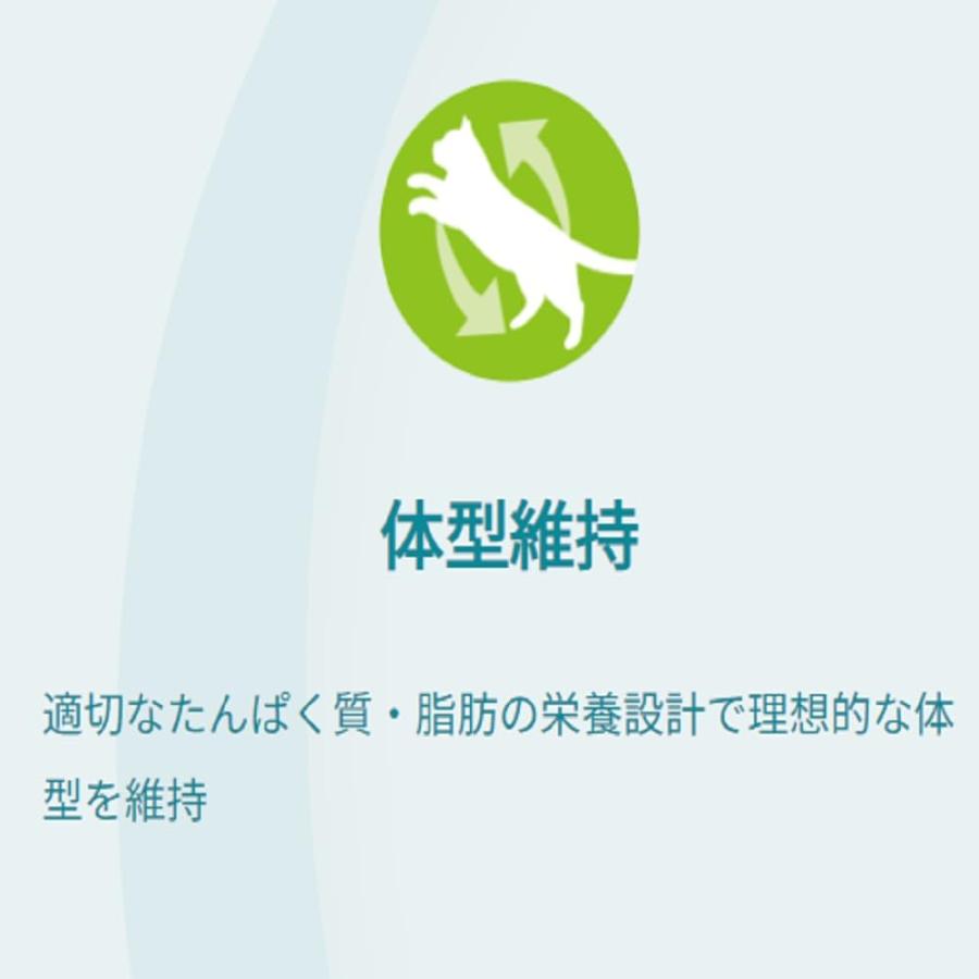 ピュリナワン キャット パウチ 健康寿命ケア ７歳以上 チキングレービー仕立て ５０ｇ ｘ１２袋 |  | 03