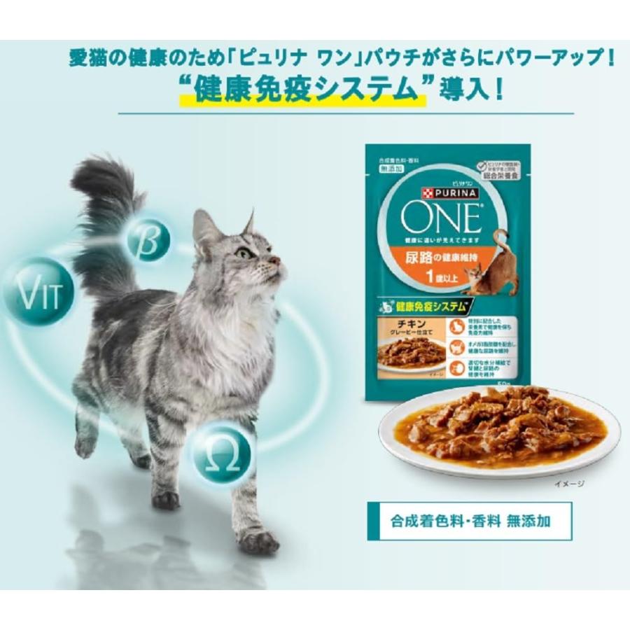 ピュリナワン キャット パウチ 健康寿命ケア ７歳以上 チキングレービー仕立て ５０ｇ ｘ１２袋 |  | 05