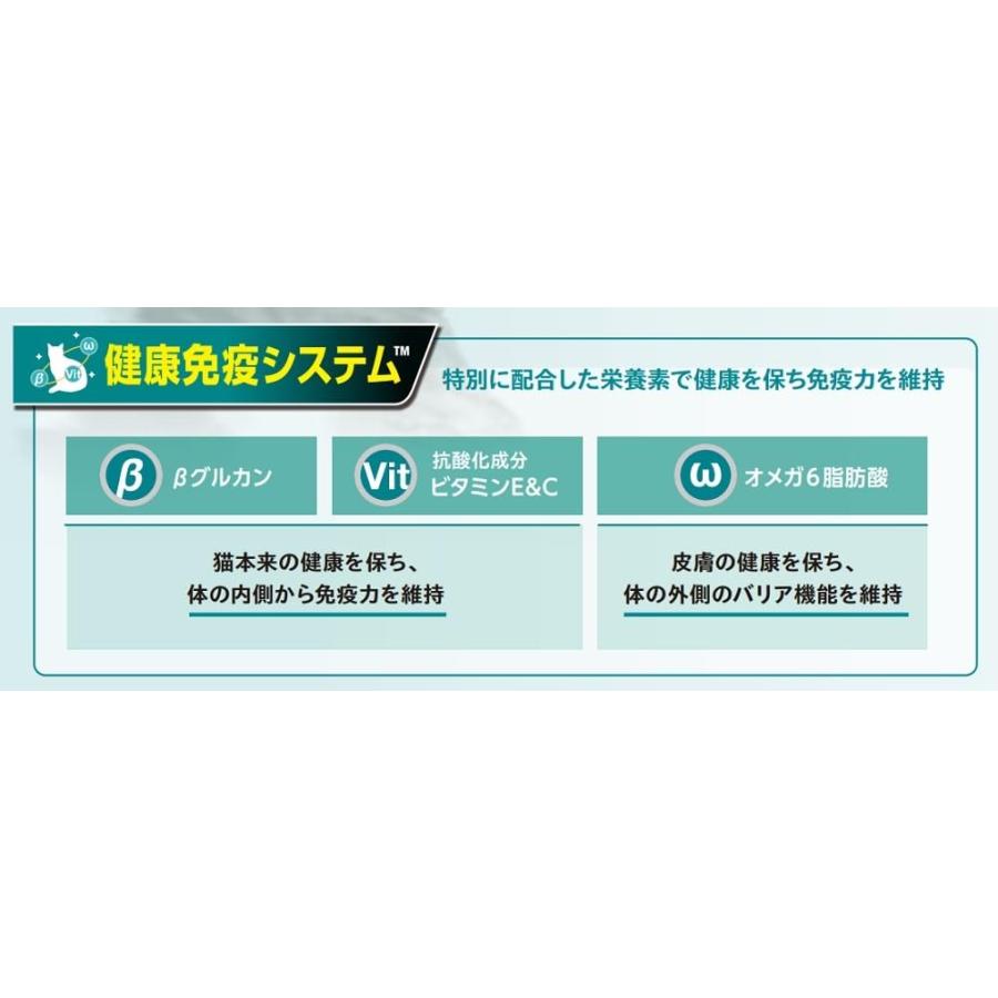 ピュリナワン キャット パウチ 健康寿命ケア ７歳以上 チキングレービー仕立て ５０ｇ ｘ１２袋 |  | 06