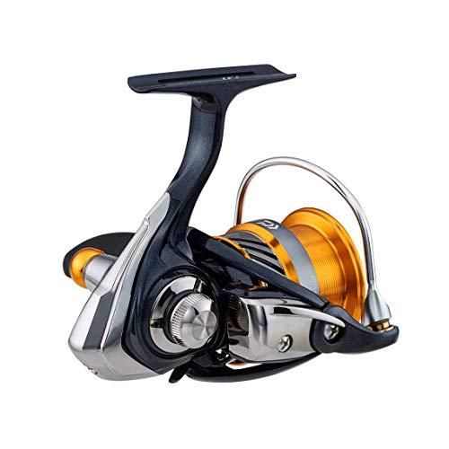 【未使用】ダイワ　スピニングリール20レブロスLT3000-ch（2020モデル ダイワDAIWA スピニングリール 20 レブロス LT3000-CH2020モデル