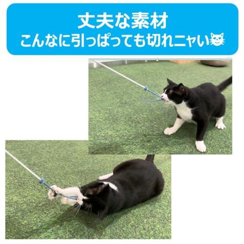 ねこモテ しっぽぷるんじゃらし 黄 × 3本セット |  | 04
