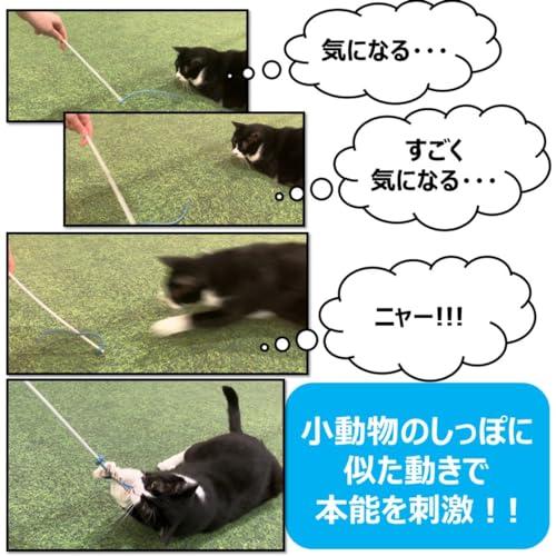 ねこモテ しっぽぷるんじゃらし 黄 × 3本セット |  | 05