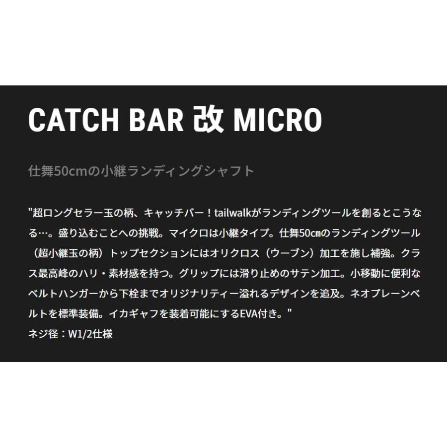 テイルウォーク玉の柄 キャッチバー 改 MICRO 420 16948 41HmX9w7qgL.jpg_BO30,255,255,