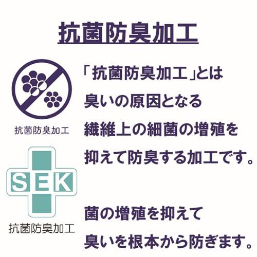 丸眞 ハンカチ バック・トゥ・ザ・フューチャー ドローウィング バック・トゥ・ザ・フューチャー ミニタオル 綿 4755018800 |  | 01