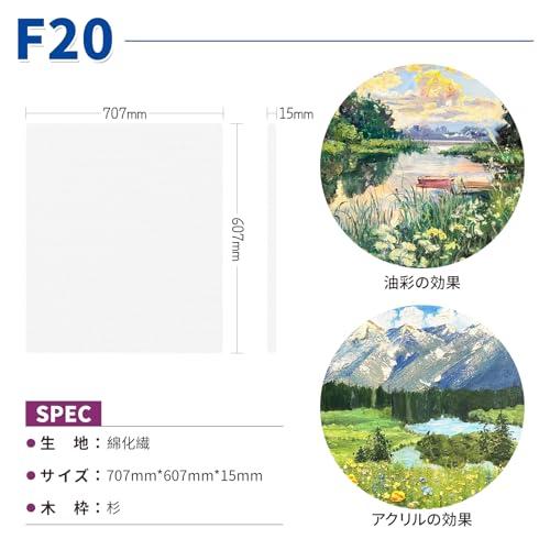 HANSILK キャンバス 張りキャンバス F20 707mmx607mm 1枚 キャンバス絵