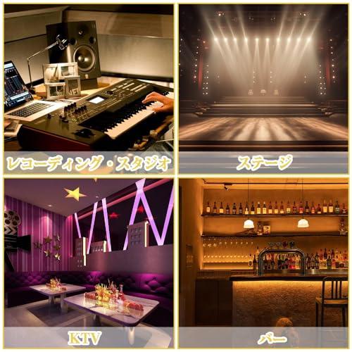 フォンアダプタプラグ 6.35mmオス-RCAメス変換アダプタ 金メッキオーディオアダプタ プラグコネクタ オーディオプラグ変換プラグ RCAジ |  | 02