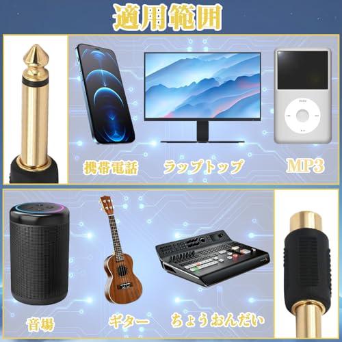 フォンアダプタプラグ 6.35mmオス-RCAメス変換アダプタ 金メッキオーディオアダプタ プラグコネクタ オーディオプラグ変換プラグ RCAジ |  | 03