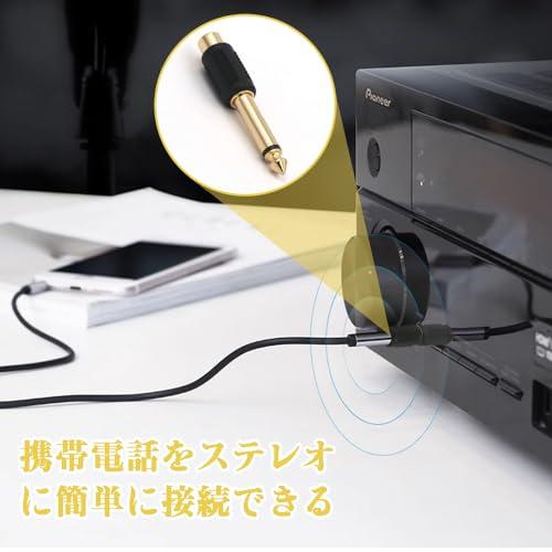 フォンアダプタプラグ 6.35mmオス-RCAメス変換アダプタ 金メッキオーディオアダプタ プラグコネクタ オーディオプラグ変換プラグ RCAジ |  | 05