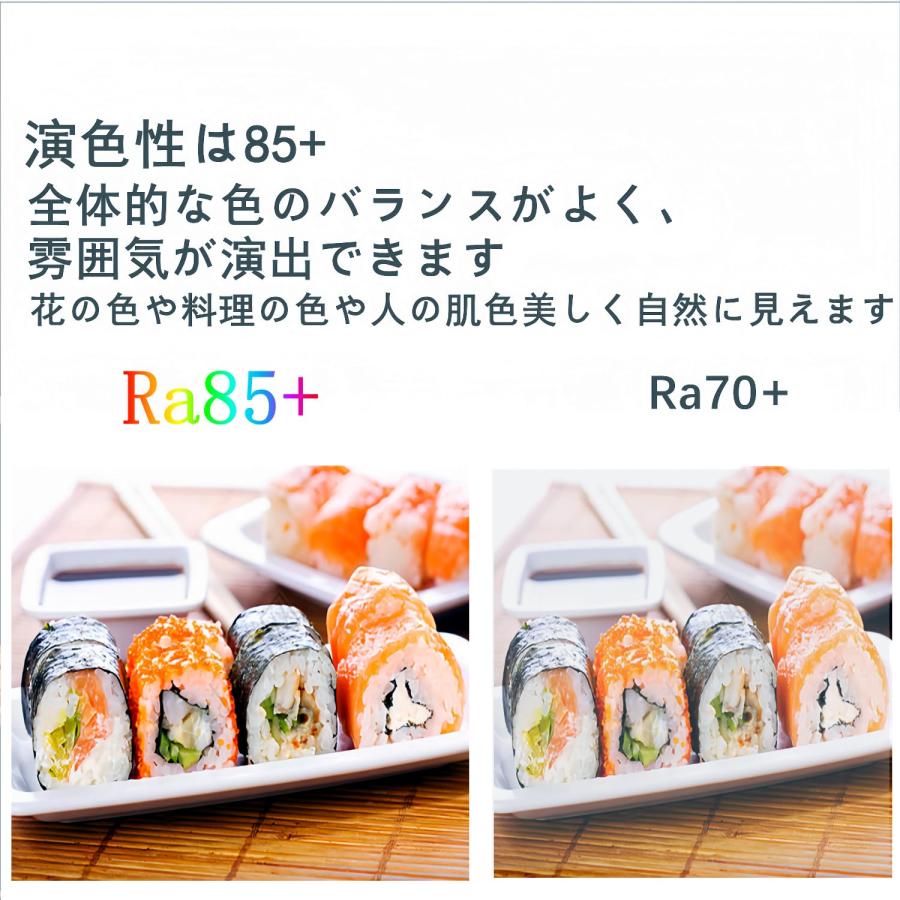 T形タイプ LED電球 口金直径17mm 電球60W・100W形相当6.8W昼光色相当 1060lm T形タイプ 密閉器具対応 断熱材施工器具対 |  | 03