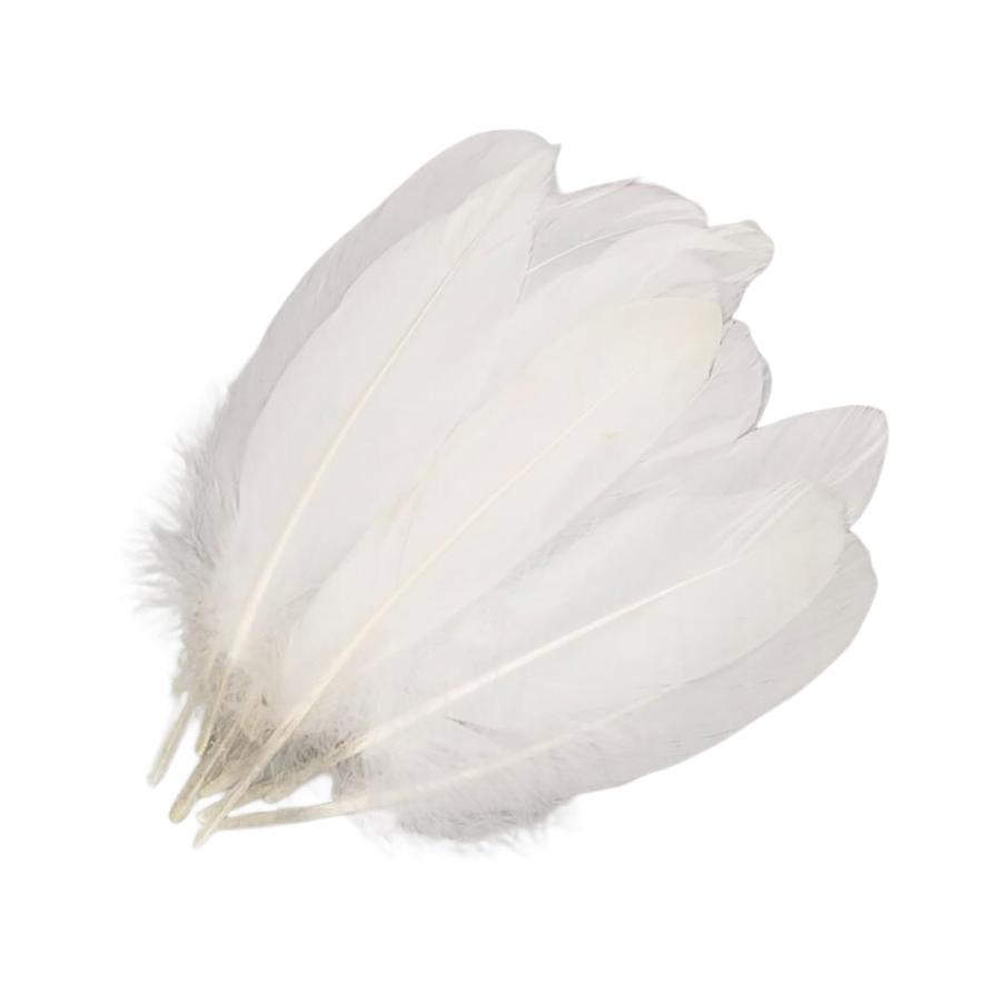 GOODCHI 羽シャワー ガチョウの羽 飾りフェザー DIY装飾小物 誕生日 結婚式 パーティー飾り 帽子 バッグ ドリームキャッチャー アク | 