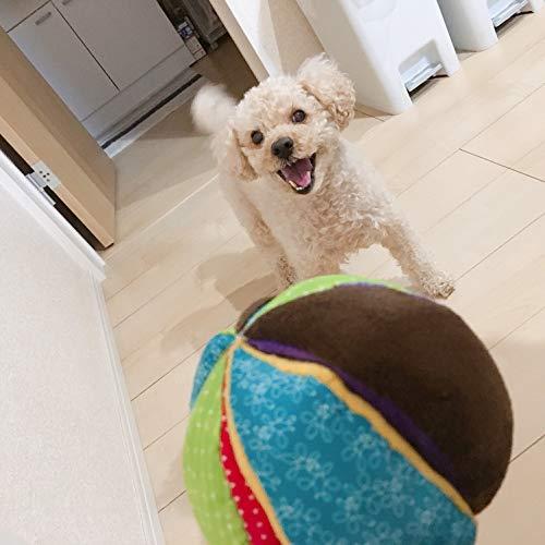 PLATZ PET SUPPLISES&FUNプラッツ 犬用おもちゃ サーカスボール 小型犬 Sサイズ |  | 04