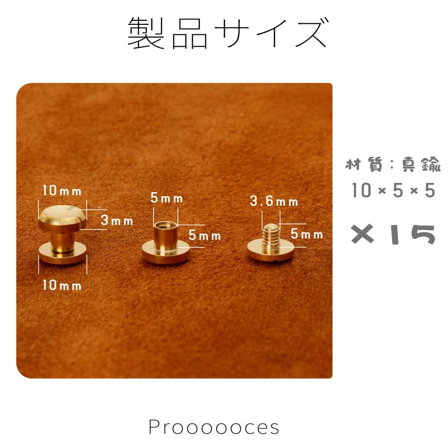 シカゴスクリュー 15個入り 10×5×5mm 真鍮組ネジ コンチョ バッグ ベルト 底びょう リベット スタッズ パーツ 鋲 リベット スタッ |  | 01