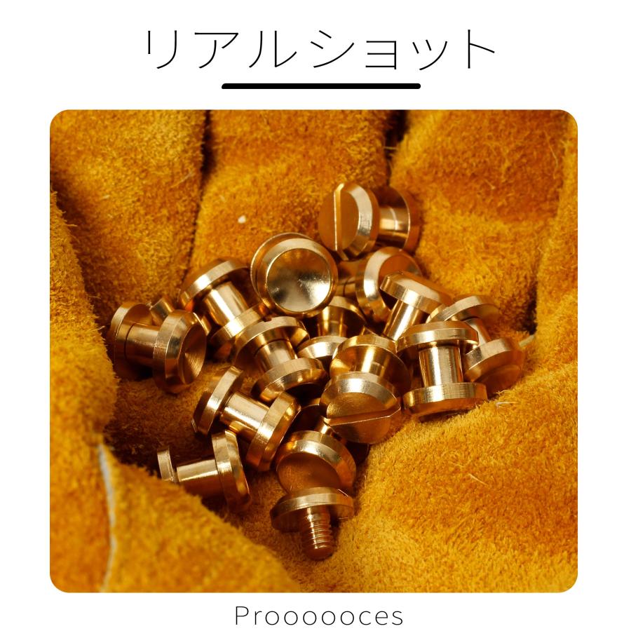 シカゴスクリュー 15個入り 10×5×5mm 真鍮組ネジ コンチョ バッグ ベルト 底びょう リベット スタッズ パーツ 鋲 リベット スタッ |  | 02